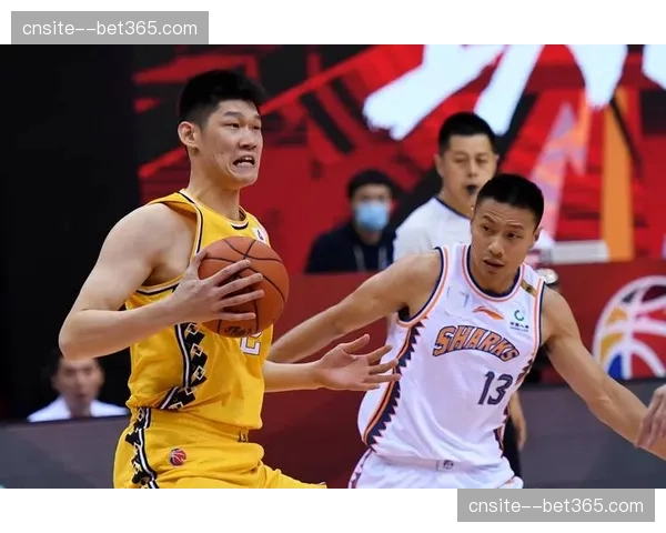 浙江队轮换体系构建 主教练根据比赛重要性灵活调整